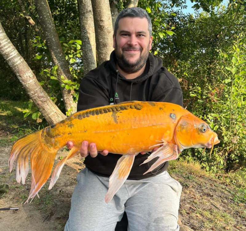 Commission communication